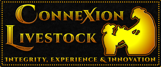 ConneXion Livestock Marketing